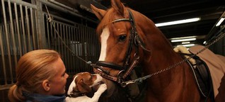 Hippologica 2013: „Ich klaue Mama immer die besten Pferde"