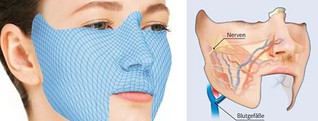 Gesichtsverletzung: Die Möglichkeiten plastischer Chirurgie | Apotheken Umschau