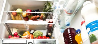 Überraschende Einblicke in europäische Kühlschränke