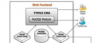 Wie die DQS ihre Datenmengen mit TYPO3 erfasst, verwaltet und bereitstellt: Eine Flut von Daten und Dokumenten