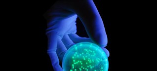 Multiresistente Keime: UV-Licht wirkt gegen MRSA - Medizin - Artikel Magazin