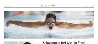 schwimmer.pdf