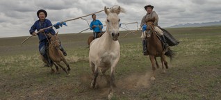 Mongolische Nomaden 