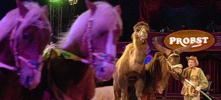 „Circus Probst" in Neuss: Leidenschaft, Gefühl und Emotion