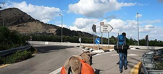 Willi und der Esel wandern durch Israel
