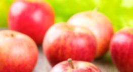 Polyphenole: Apfel-Allergiker - keine Allergie bei alten Apfelsorten - Ernährung - Artikel Magazin