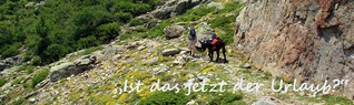"Ist das jetzt der Urlaub?" Unsere abenteuerliche Wanderung mit zwei kleinen Kindern und einem Esel auf Korsika