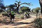 Distanzreiten: Virginie Atger beim Okahandja-Ritt in Namibia