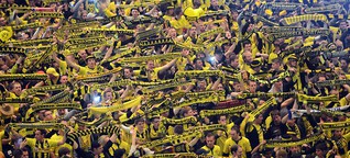 Galerie: Dortmund im Champions-League-Fieber - Ein Wechselbad der Gefühle