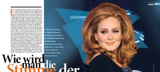 tv14 - Porträt - Adele