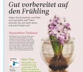 Ratgeber: Hyazinthen-Treiberei, Putz-App & Co