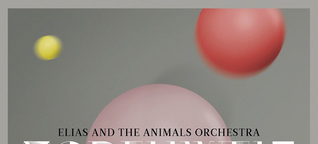 Elias and the Animals Orchestra: Mit Leib, Seele und Didgeridoo 