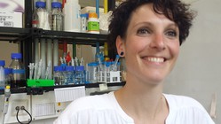 Tortengelee und Pflanzentechnologie- Molekularbiologin Anja Geretschläger by Teresa Arrieta