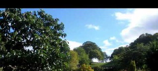 Lake District Holehird Gardens