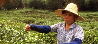 Tee-Riese China behält die edelsten Sorten für sich