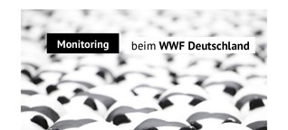 Vortrag: Social Media Monitoring beim WWF Deutschland