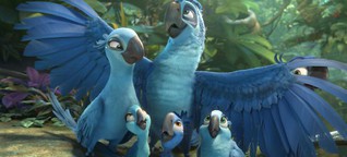 Die Kino-Kritiker: "Rio 2 - Dschungelfieber"