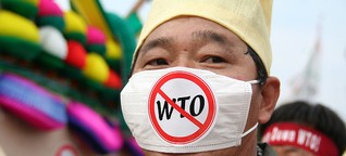 Die WTO: Ein unkontrollierbarer Gigant?