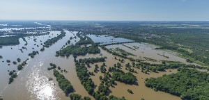 Das Ziehharmonika-Prinzip - Überschwemmungsökologie an der Elbe
