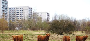 Unsere große Farm - Urbane Landwirtschaft in Berlin
