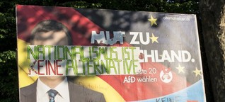AfD in Hamburg: So wie einst Ronald Schill