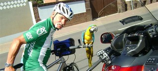 Radsport mit Papagei - ein Gelbbrustara auf großer Tour