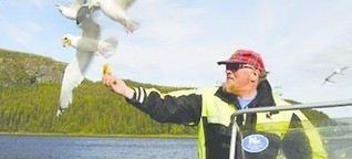 Norwegens König der Adler und Fotografen