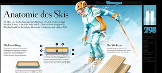 Ski-Anatomie