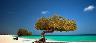  Trauminsel Aruba: Der „schönste Strand der Welt"