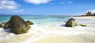 Insel des Glücks: 7 Fakten und Sie lieben Aruba