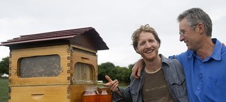Honig aus dem Zapfhahn: Zwei Australier wollen Bienenhaltung revolutionieren - WiWo Green