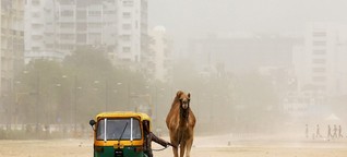 Rickshaw Run in Nordindien: Abenteuer statt Erleuchtung