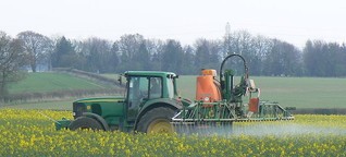 EU-Studie: Einsatz von Pestiziden ist ökonomisch unsinnig - WiWo Green
