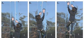 Kletterhilfe: Mit Gecko-Handschuhen die Glaswand hoch - SPIEGEL ONLINE