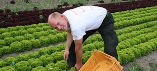 Ehec-Angst: "Unsere Ernte ist sauber", stern.de