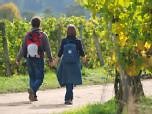 Deutsch-französischer Urlaub: Die Südliche Weinstraße
