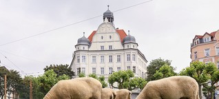 Kunstaktion „NOToperation Schafe auf dem Borsigplatz" belebt das kardiologische Zentrum des Nordstadt-Quartiers