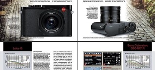 Vollformat kompakt – Leica Q vs. Sony RX1R