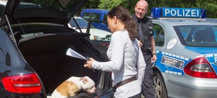 Hund aus überhitztem Auto in Rotherbaum gerettet