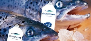 Fairer Fischfang - Neue Etiketten sollen Transparenz schaffen