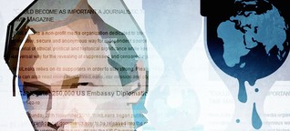 Julian Assange bietet NSA-Untersuchungsaussschuss Hilfe an