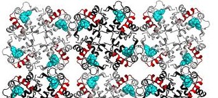 Korrelierte Quantenzustände in Protein-Kristallen