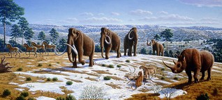 Mammut 3.0 – Auferstehung in der Arktis?