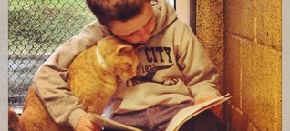 Kinder lesen Katzen vor: Wenn der "Kumpel" zufrieden schnurrt - N24.de