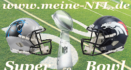 meine-NFL.de - Die Super Bowl Vorschau