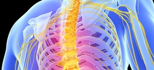 Warum Osteoporose eine große Gefahr für die Mobilität ist