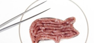 Fleisch aus dem Reagenzglas: Meat the Future