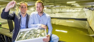 Die Shrimps-Millionäre vom Erdinger Moos: Start-Up züchtet Bio-Garnelen