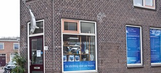 Vissenasiel in Delft