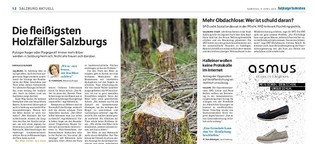 Die fleißigsten Holzfäller Salzburgs